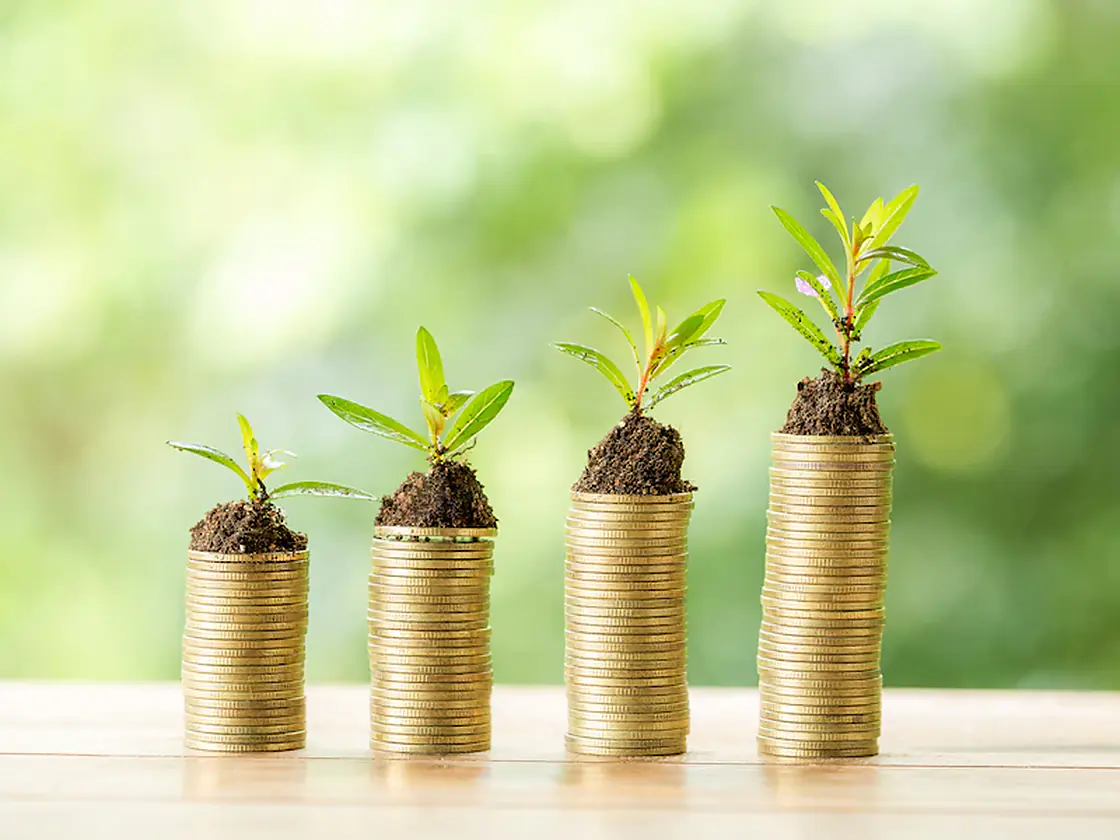 Stacks of coins with young plants growing from them
