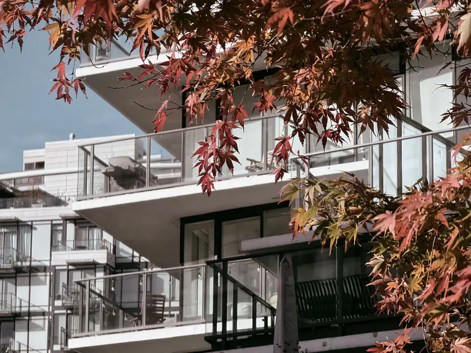 A modern Vancouver apartment building framed by autumn maple leaves